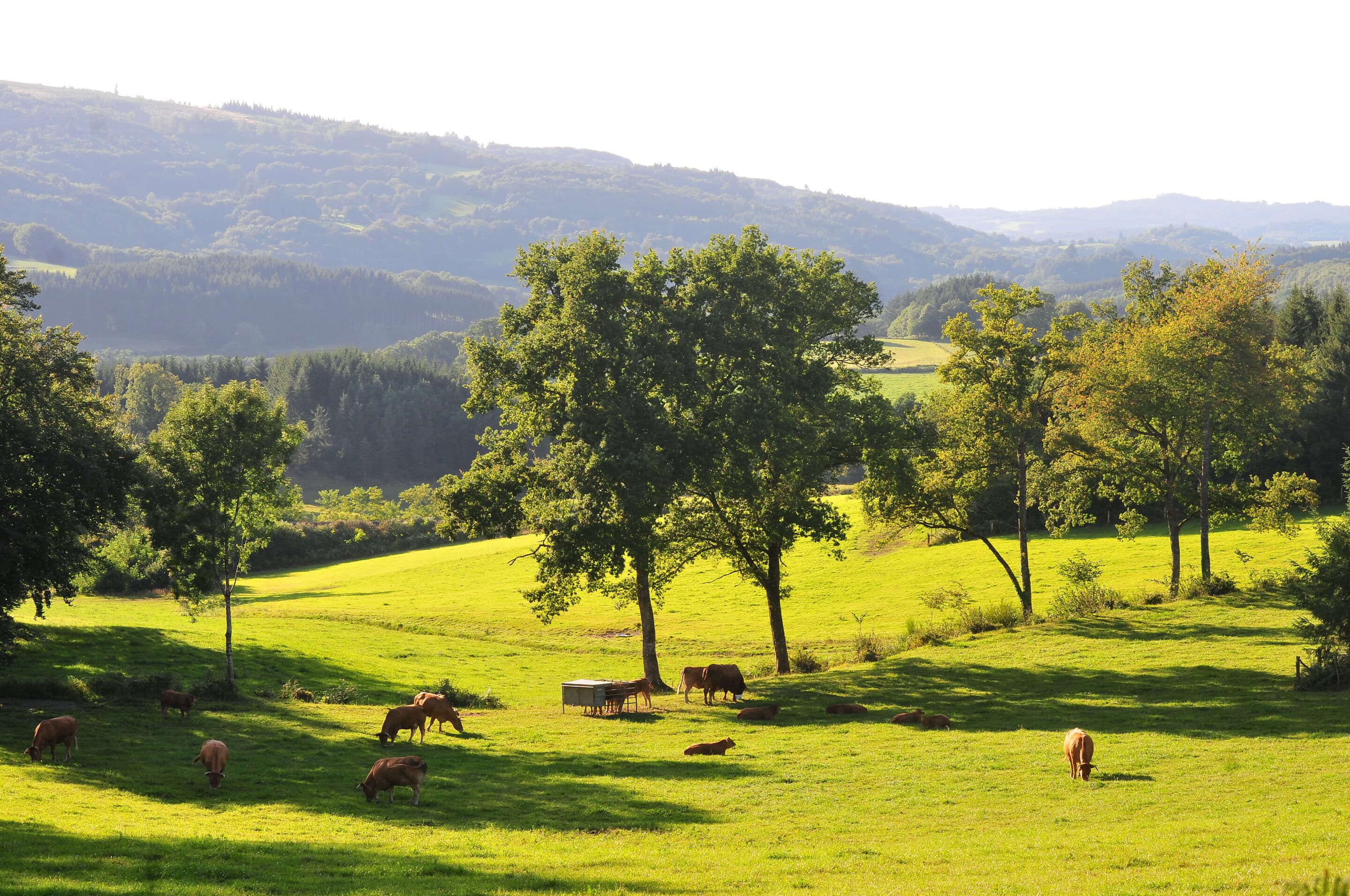Paysage correze